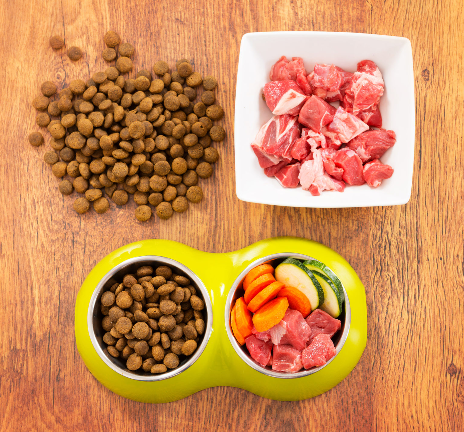 How to Give Your Dog Fresh Food RushPR News