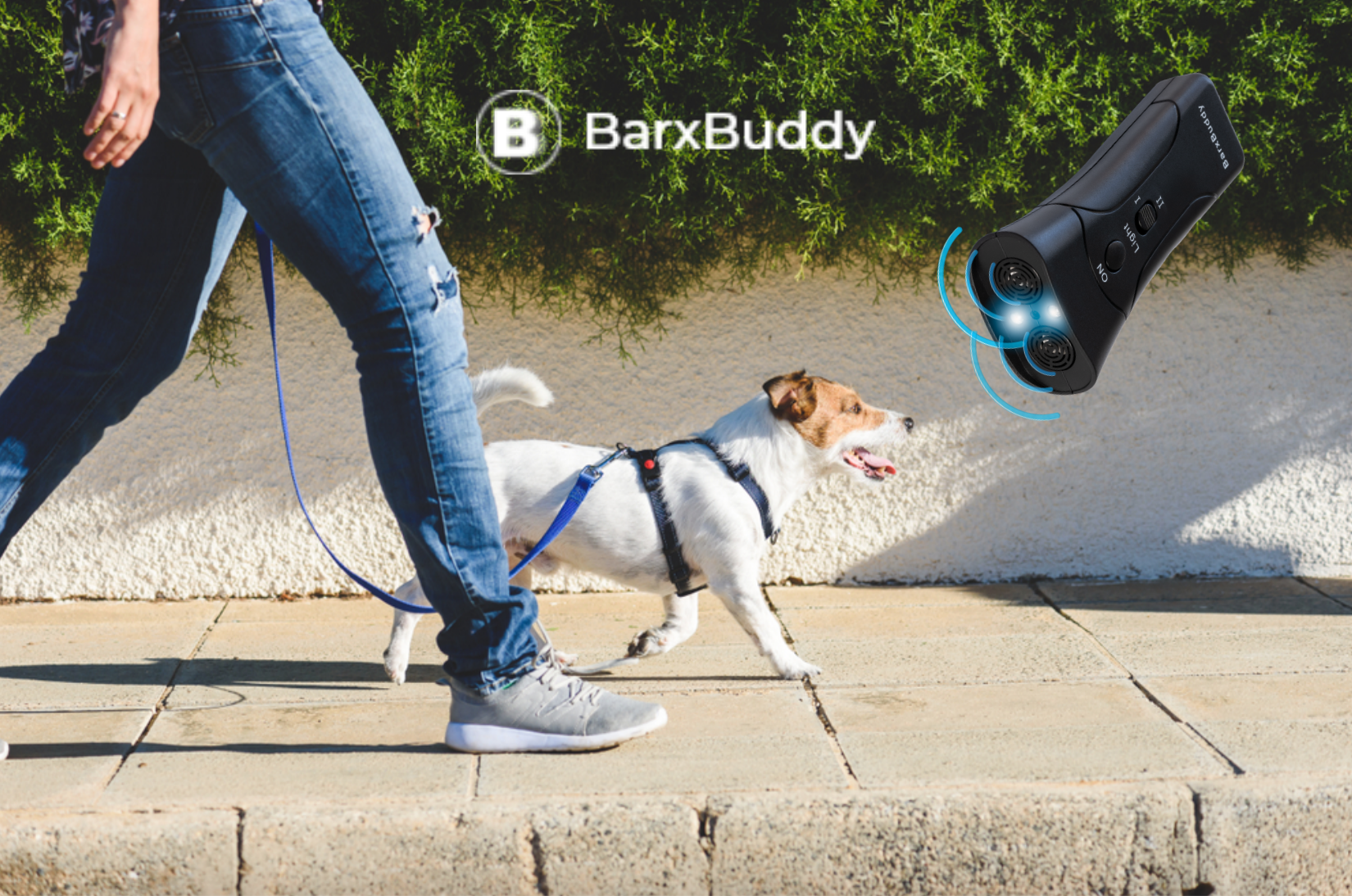 BarxBuddy Dog Training Tips