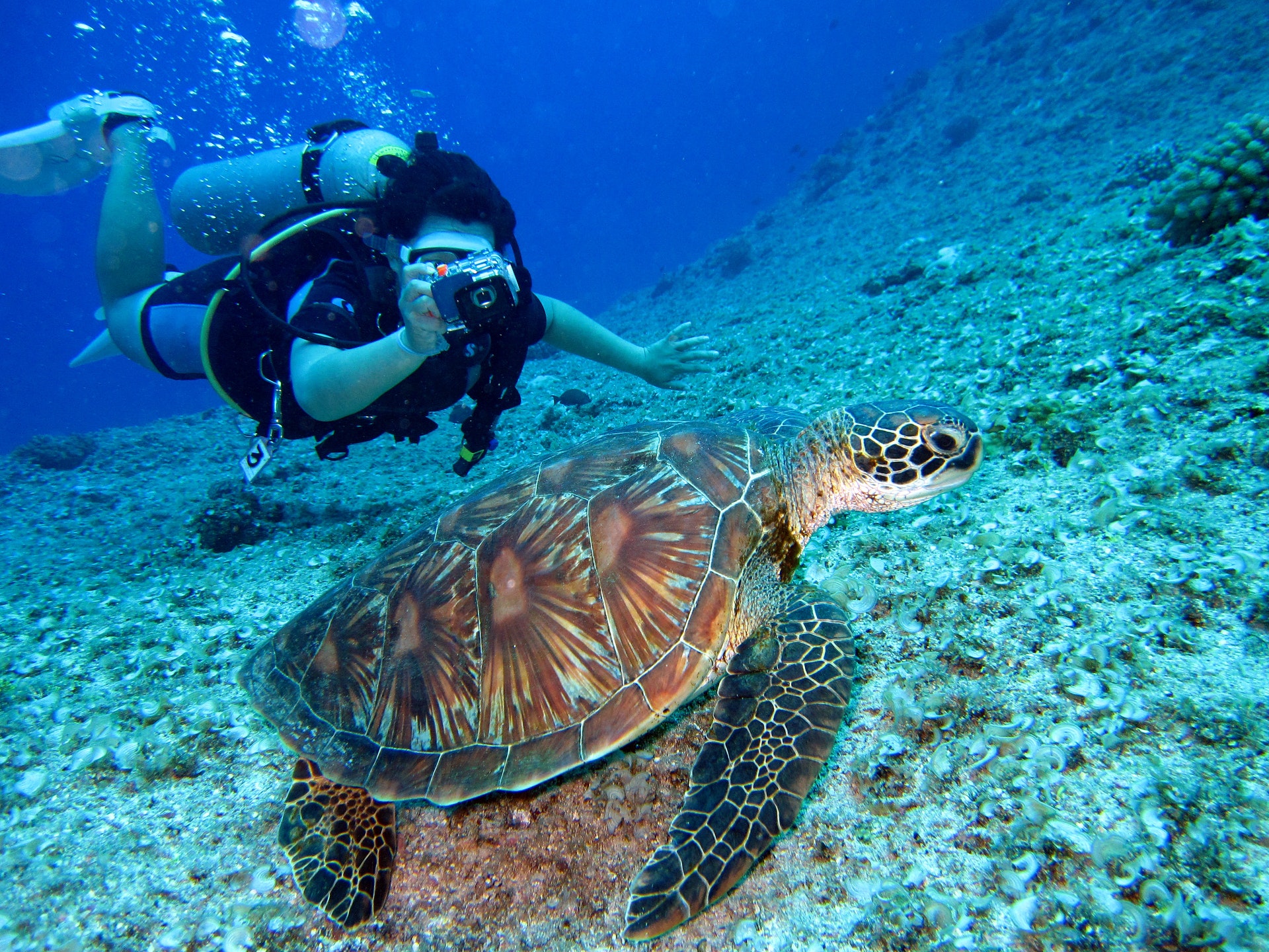 The Dos and Don'ts of Going Scuba Diving for the 1st Time