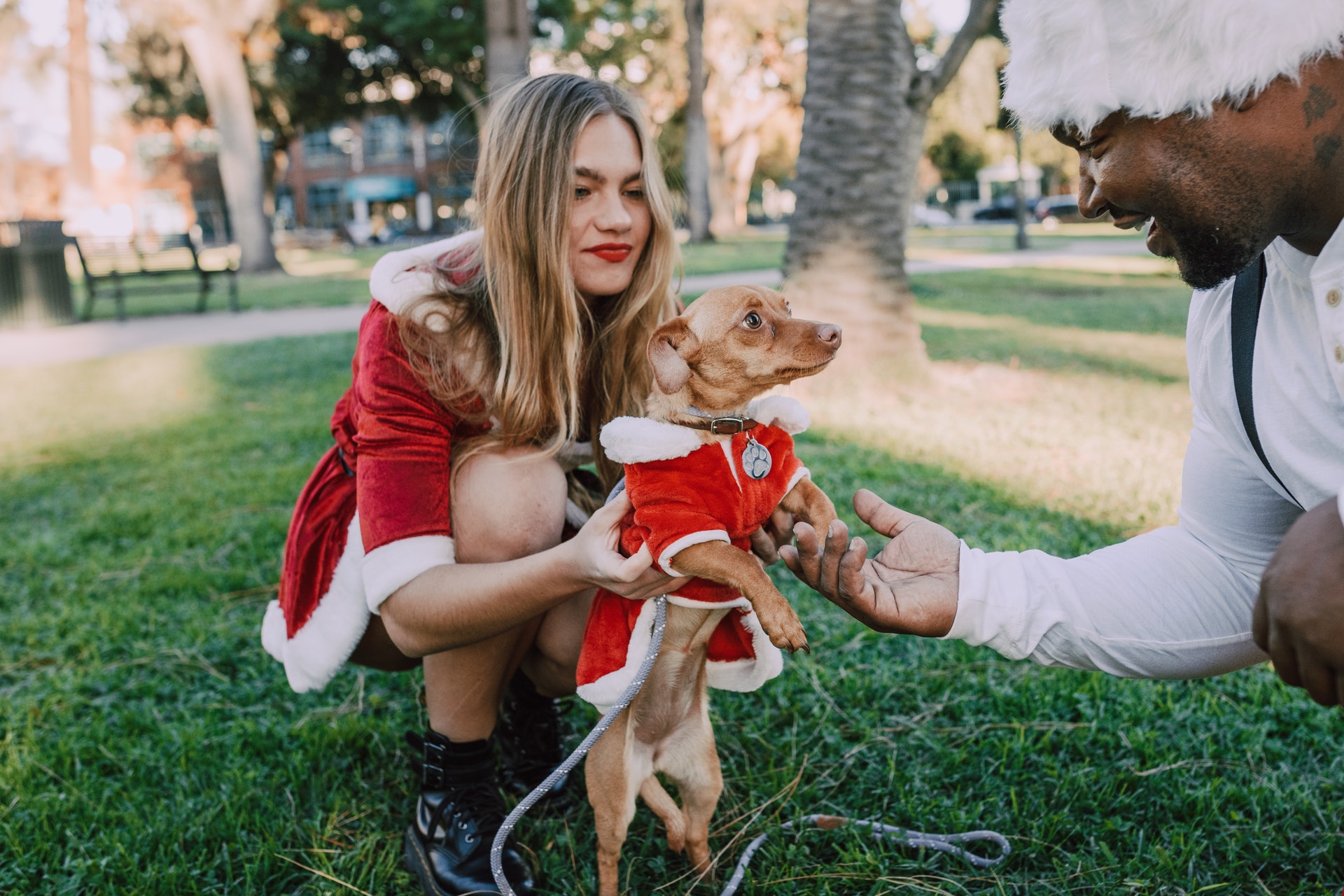 How to Celebrate Your Puppy's 1st Christmas