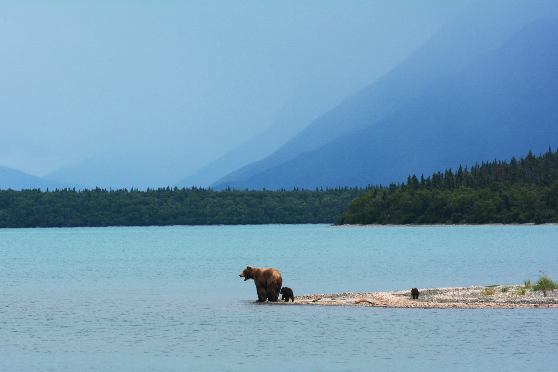 8 Easy Ways to Make a Vacation to Alaska Memorable