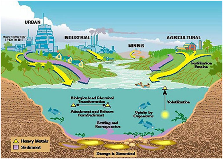 Reliable Methods for Heavy Metal Removal in H2O