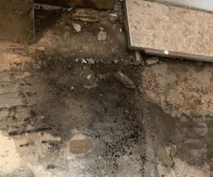 Weather Impacts Property Damage in Lindon, Utah