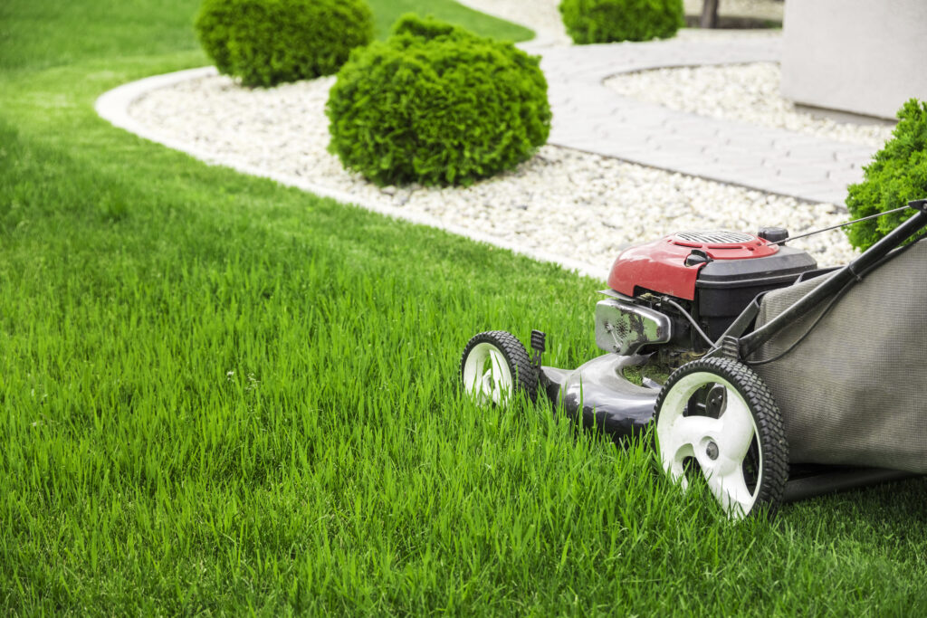 How Often Should You Aerate and Overseed Your Lawn in Ohio